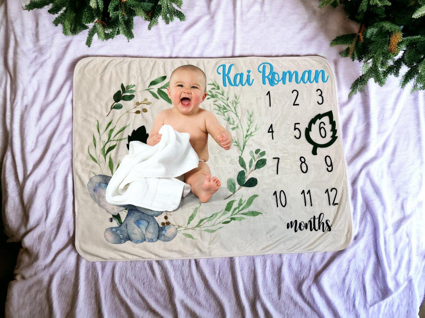 Baby Milestone Photo Blanket