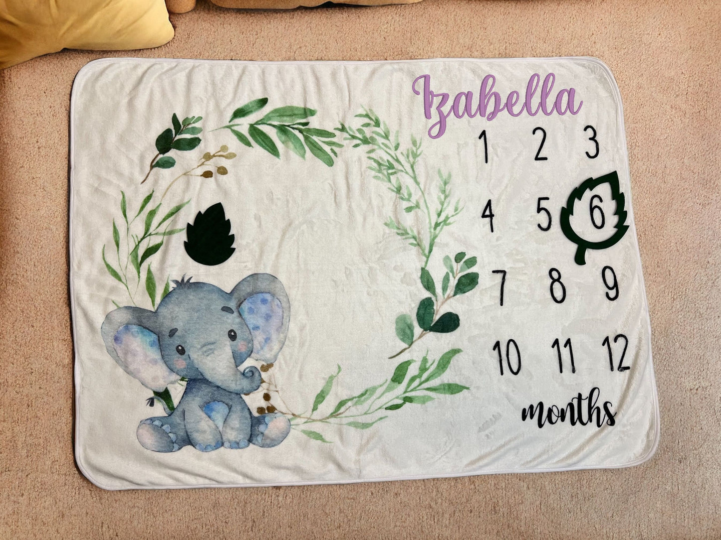 Baby Milestone Photo Blanket