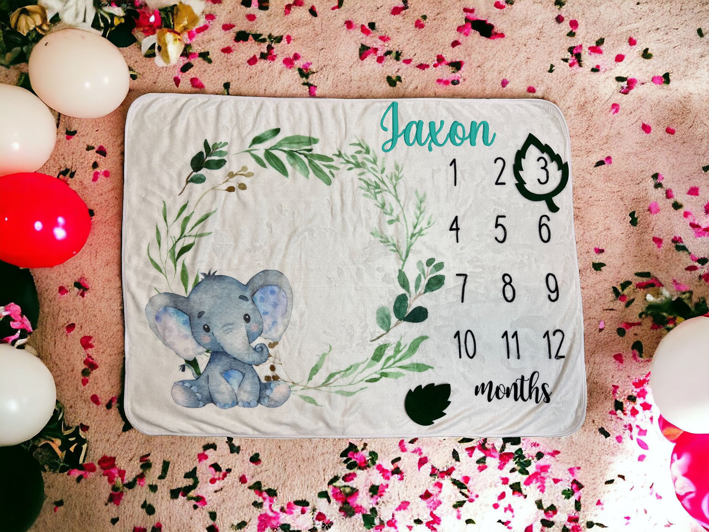 Baby Milestone Photo Blanket