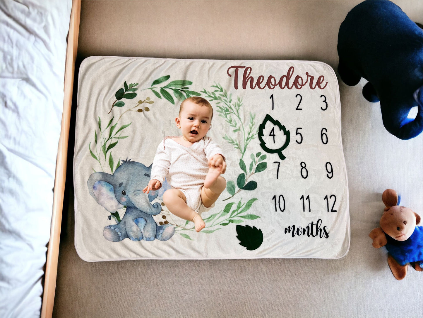 Baby Milestone Photo Blanket