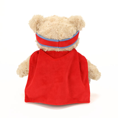 Captain Cuddles, the Super Bear - personalized stuffed animal