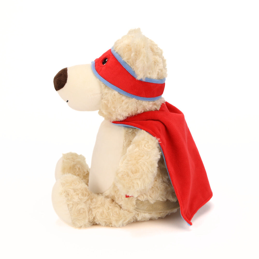 Captain Cuddles, the Super Bear - personalized stuffed animal